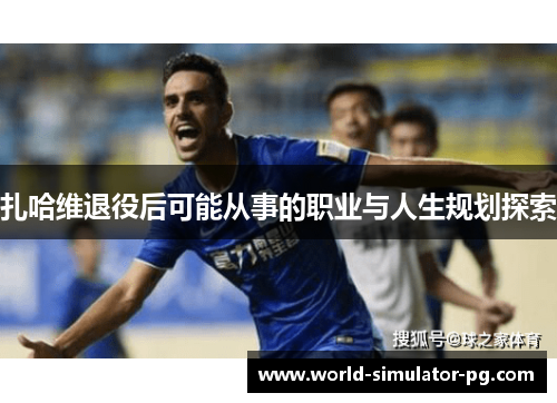 扎哈维退役后可能从事的职业与人生规划探索