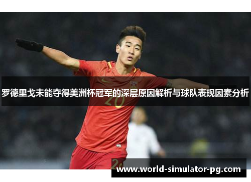 罗德里戈未能夺得美洲杯冠军的深层原因解析与球队表现因素分析