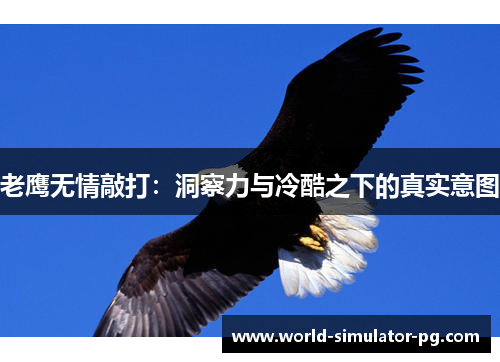 老鹰无情敲打:洞察力与冷酷之下的真实意图 老鹰无情敲打:洞察力与冷酷之下的真实意图