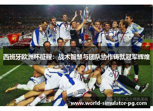 西班牙欧洲杯征程：战术智慧与团队协作铸就冠军辉煌