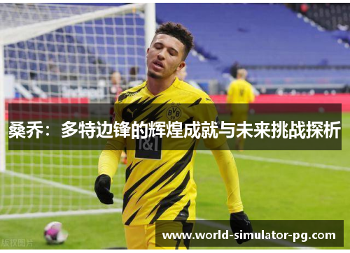 桑乔：多特边锋的辉煌成就与未来挑战探析