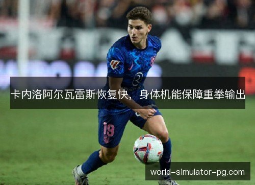卡内洛阿尔瓦雷斯恢复快，身体机能保障重拳输出